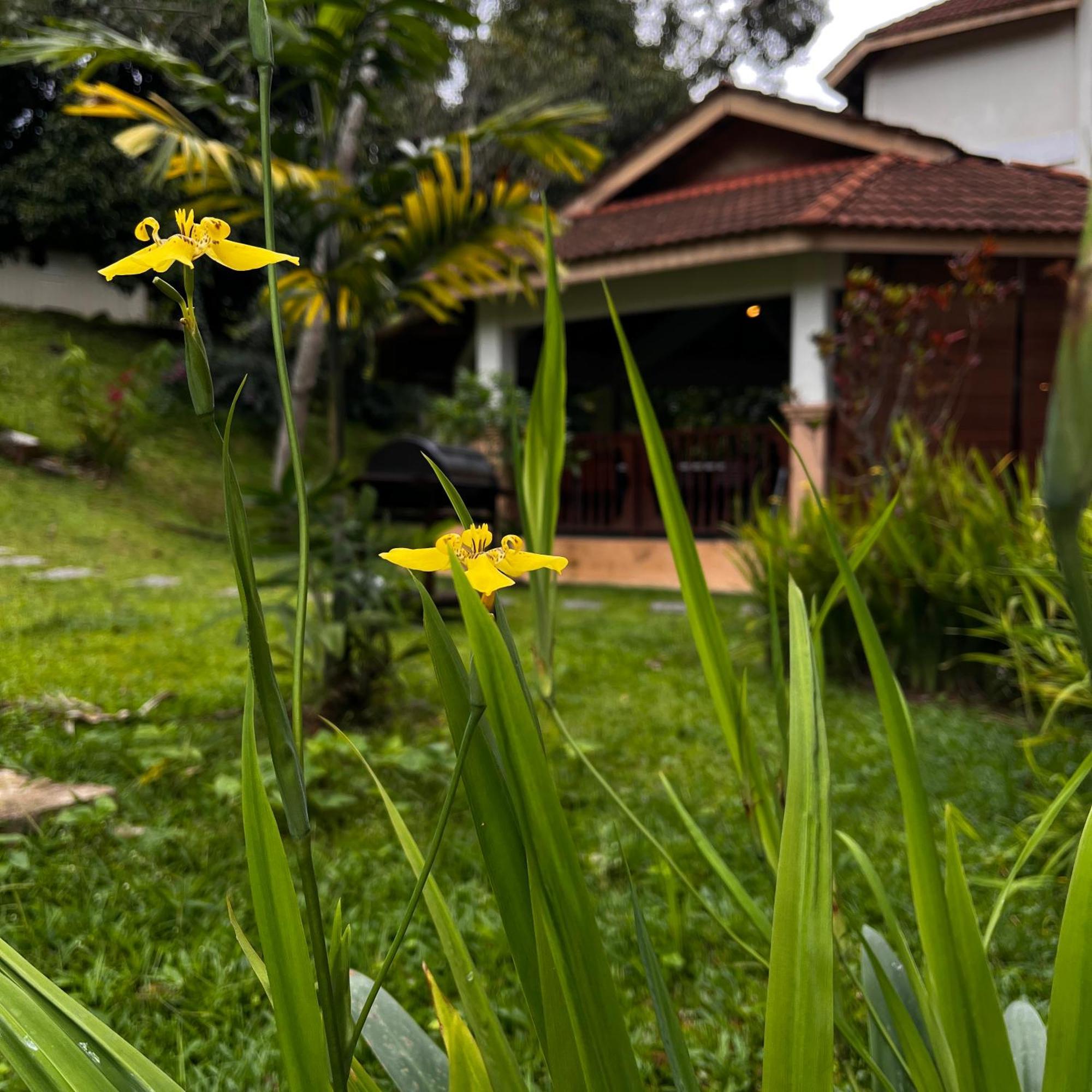 Erya By Suria Janda Baik Hotel Bentong Exterior photo